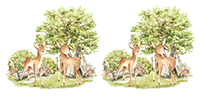 UV-DTF DECAL - Deer With Trees